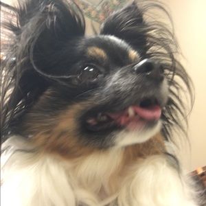 Meet your Posher, Lori